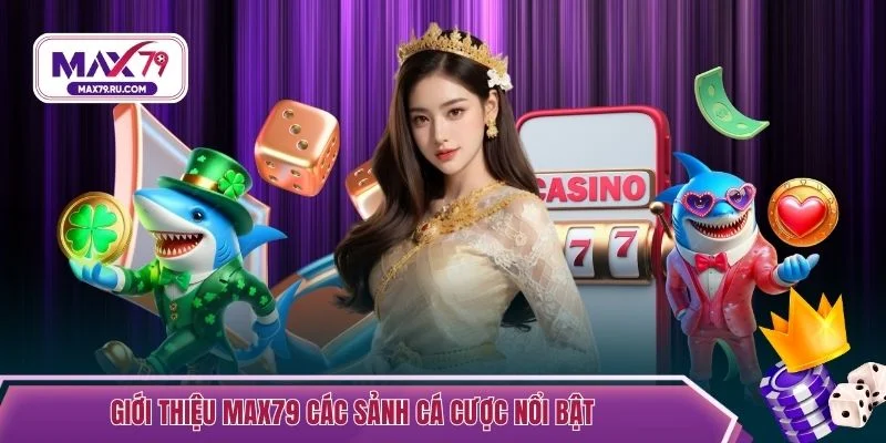 Giới thiệu MAX79 các sảnh cá cược nổi bật