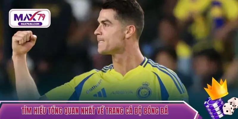 Tìm hiểu tổng quan nhất về trang cá độ bóng đá